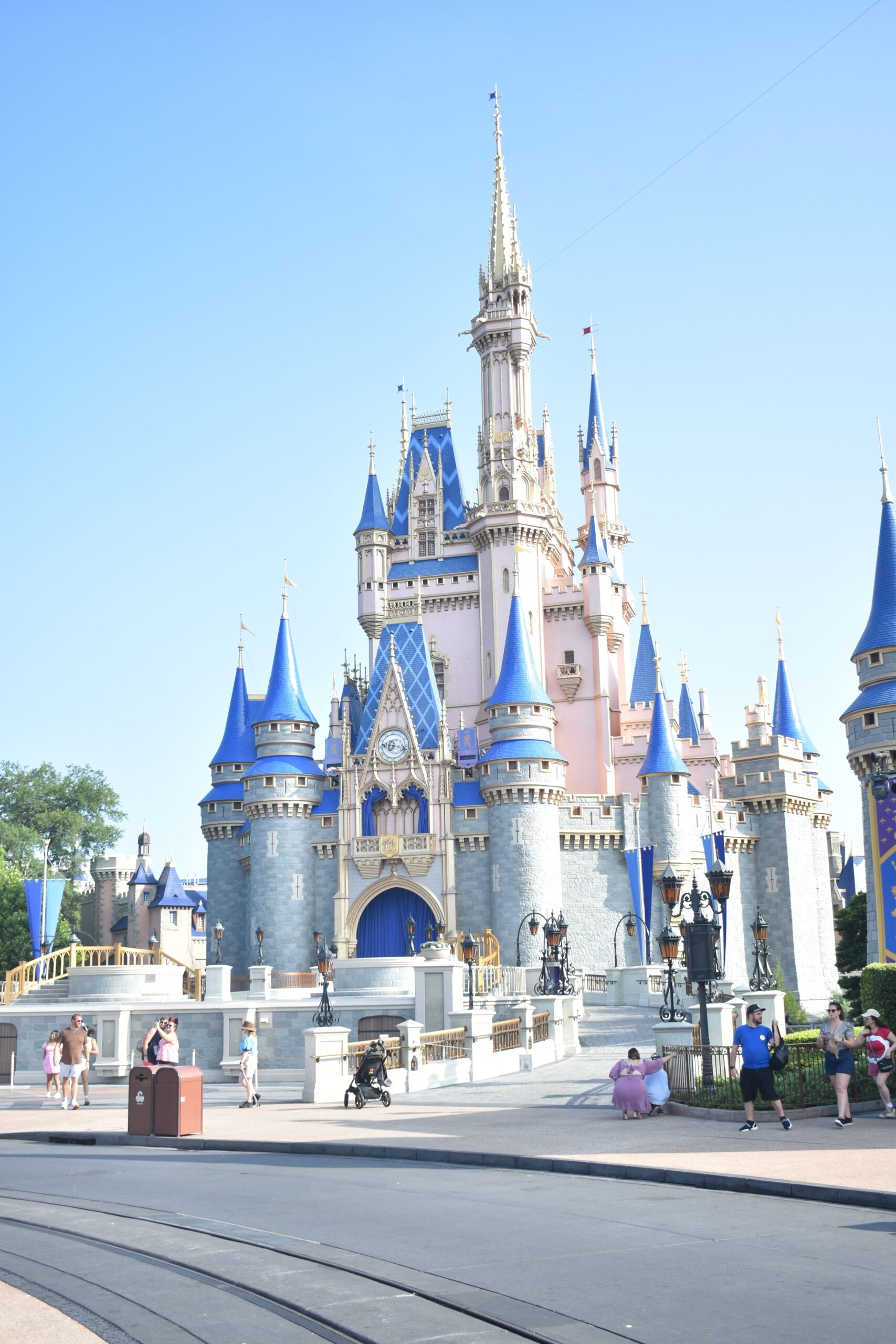 What strollers are allowed at Disney World?